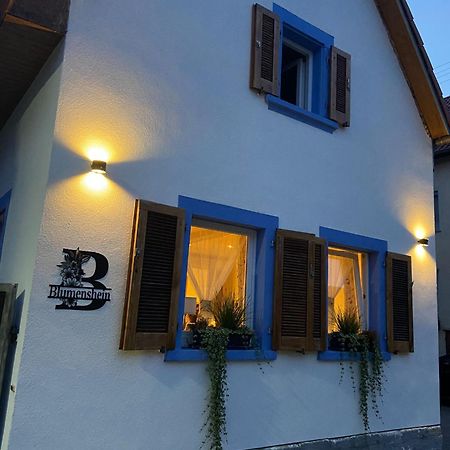 Ferienwohnung Blumenshein Bei Speyer Karlsruhe Familienfreundlich 5 Pers Zeiskam Bagian luar foto