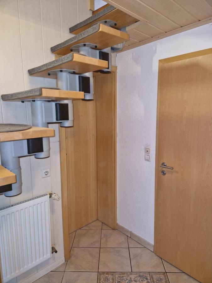 Ferienwohnung Blumenshein Bei Speyer Karlsruhe Familienfreundlich 5 Pers Zeiskam Bagian luar foto