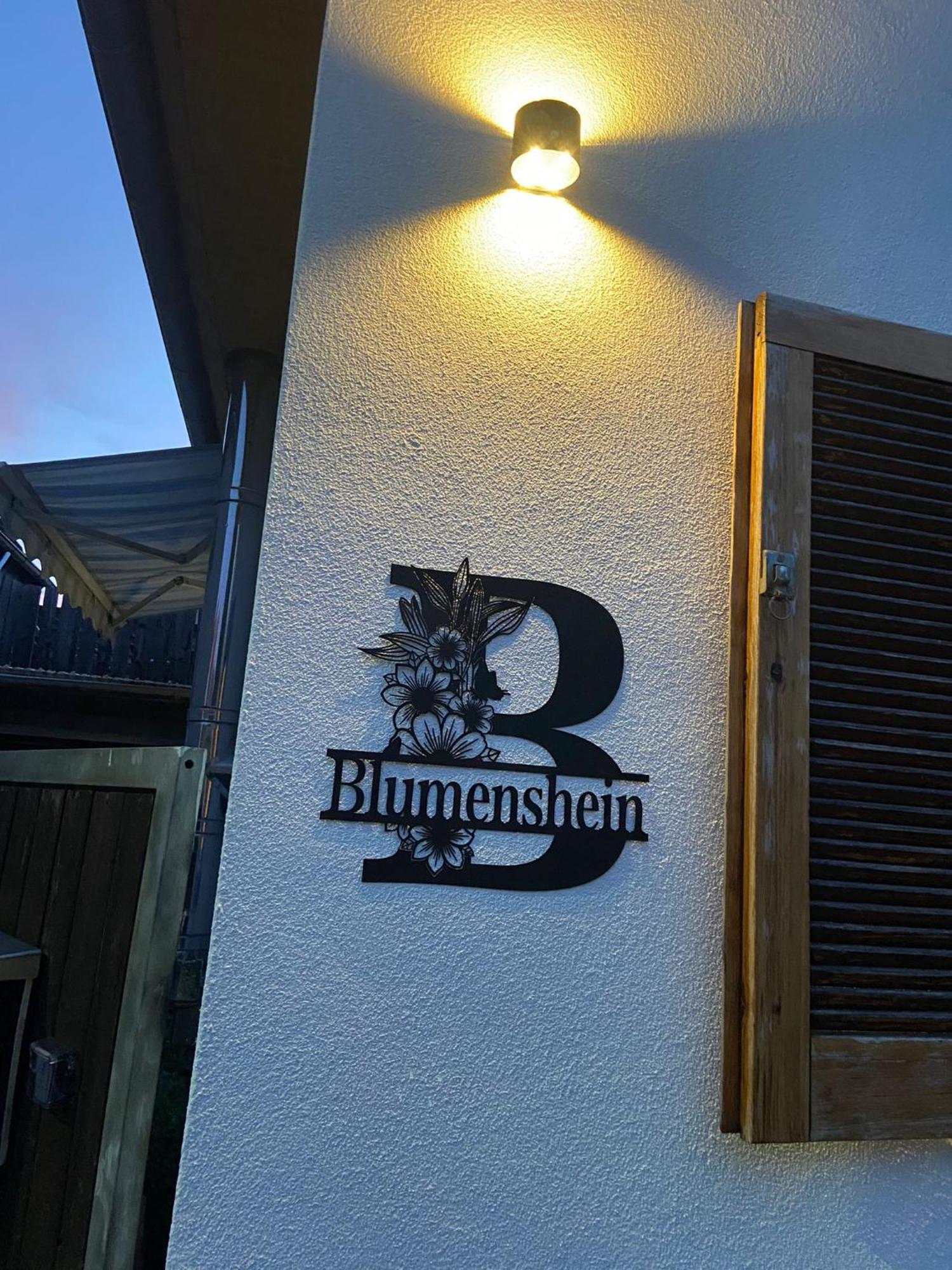 Ferienwohnung Blumenshein Bei Speyer Karlsruhe Familienfreundlich 5 Pers Zeiskam Bagian luar foto