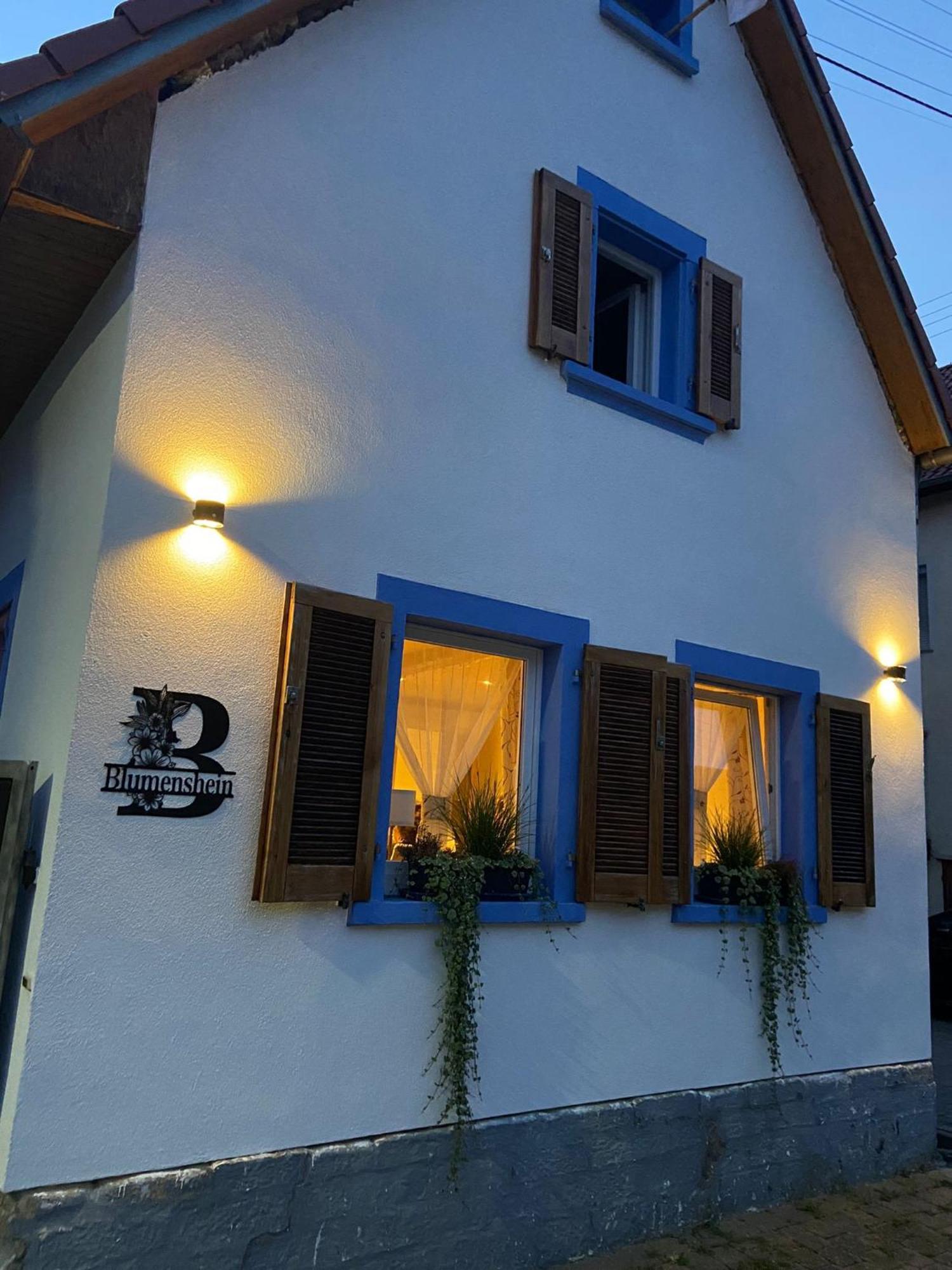 Ferienwohnung Blumenshein Bei Speyer Karlsruhe Familienfreundlich 5 Pers Zeiskam Bagian luar foto
